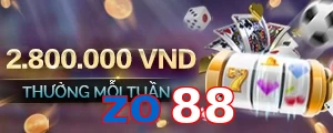 zo88