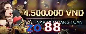 zo88